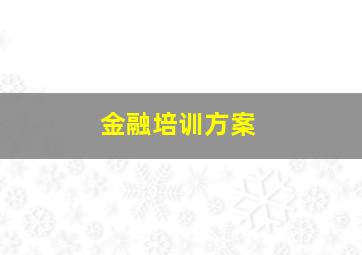 金融培训方案