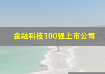 金融科技100强上市公司