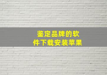 鉴定品牌的软件下载安装苹果