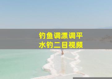 钓鱼调漂调平水钓二目视频