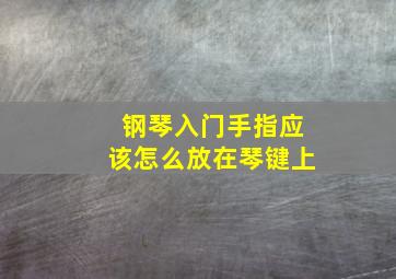 钢琴入门手指应该怎么放在琴键上