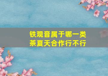 铁观音属于哪一类茶夏天合作行不行