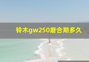 铃木gw250磨合期多久