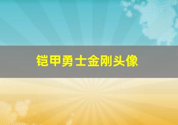 铠甲勇士金刚头像