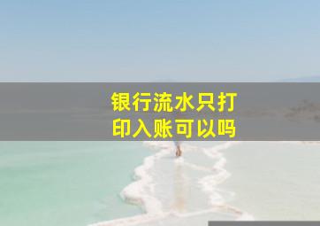 银行流水只打印入账可以吗