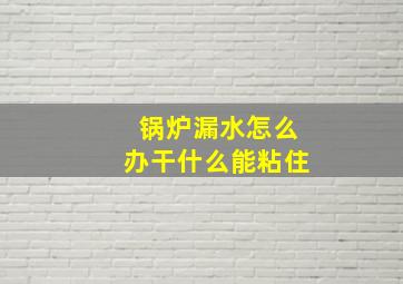 锅炉漏水怎么办干什么能粘住