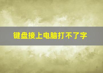 键盘接上电脑打不了字