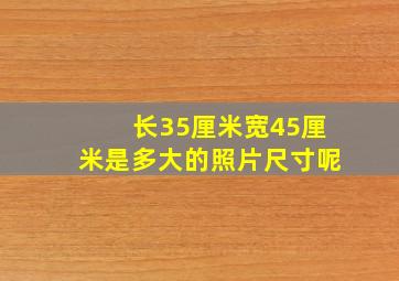 长35厘米宽45厘米是多大的照片尺寸呢