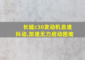 长城c30发动机怠速抖动,加速无力启动困难