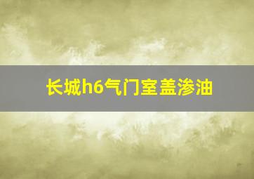 长城h6气门室盖渗油