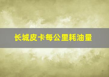 长城皮卡每公里耗油量