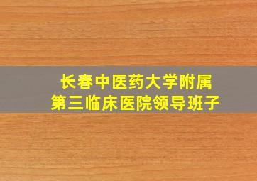 长春中医药大学附属第三临床医院领导班子