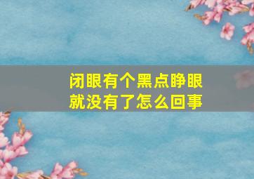 闭眼有个黑点睁眼就没有了怎么回事