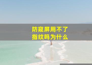 防窥屏用不了指纹吗为什么