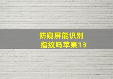 防窥屏能识别指纹吗苹果13