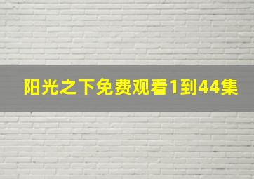 阳光之下免费观看1到44集