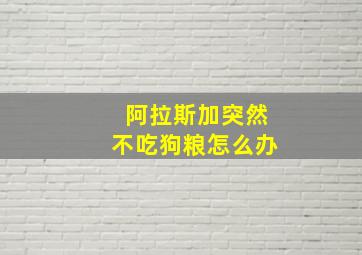 阿拉斯加突然不吃狗粮怎么办