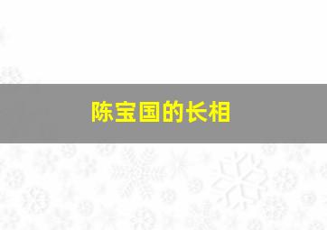 陈宝国的长相