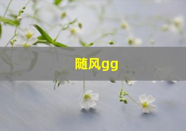 随风gg