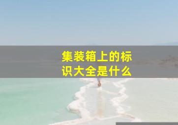 集装箱上的标识大全是什么