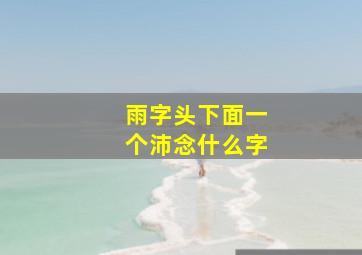 雨字头下面一个沛念什么字