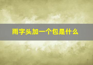 雨字头加一个包是什么