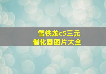 雪铁龙c5三元催化器图片大全