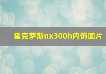 雷克萨斯nx300h内饰图片