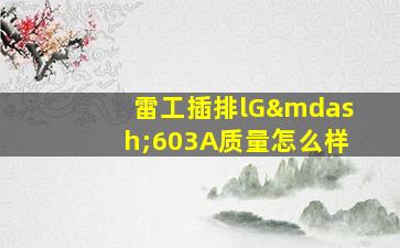 雷工插排lG—603A质量怎么样