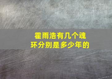 霍雨浩有几个魂环分别是多少年的