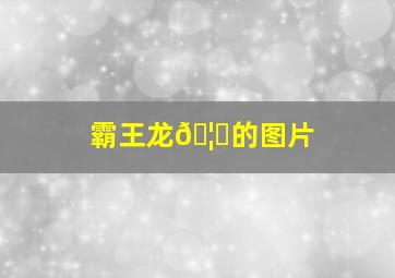 霸王龙🦖的图片