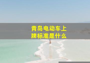 青岛电动车上牌标准是什么