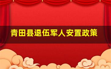 青田县退伍军人安置政策