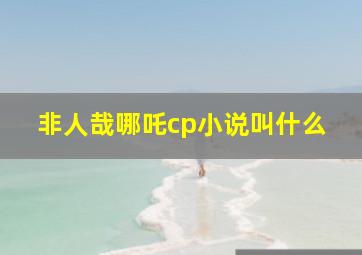 非人哉哪吒cp小说叫什么