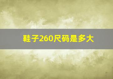 鞋子260尺码是多大