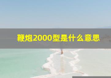 鞭炮2000型是什么意思