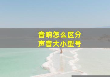 音响怎么区分声音大小型号