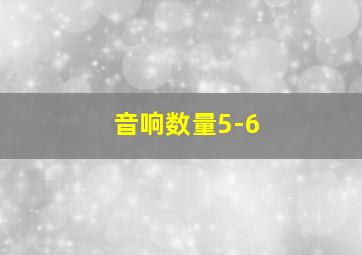 音响数量5-6