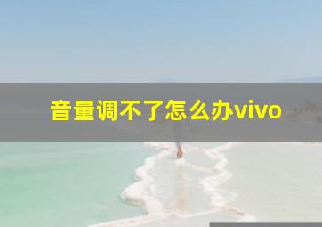 音量调不了怎么办vivo