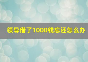 领导借了1000钱忘还怎么办