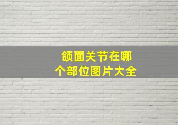 颌面关节在哪个部位图片大全