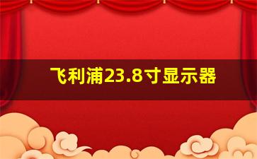 飞利浦23.8寸显示器