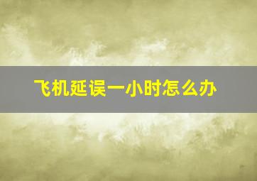 飞机延误一小时怎么办