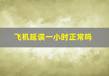 飞机延误一小时正常吗