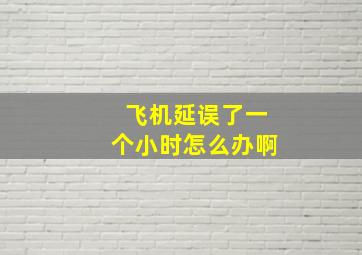 飞机延误了一个小时怎么办啊