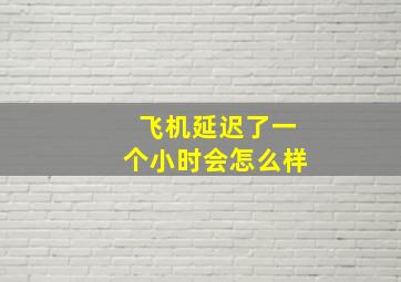 飞机延迟了一个小时会怎么样