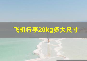 飞机行李20kg多大尺寸