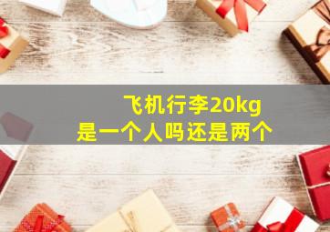 飞机行李20kg是一个人吗还是两个