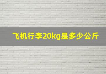 飞机行李20kg是多少公斤