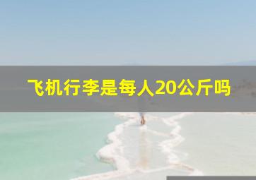 飞机行李是每人20公斤吗